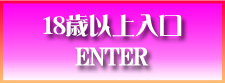 18歳以上入口